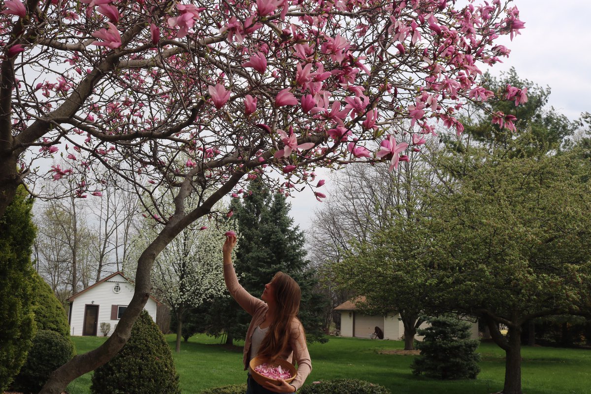 Nina Lawrin takes us on an ethnobotanical journey through the Carpathians of Ukraine, the United States, and Namibia. We talk about ecological knowledge, knowing your own ancestry, GMOs, and cultural wounds...
Show notes: worldwild.org.uk/nina-lawrin-56
#worldwild