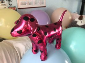 Floralfables's tweet photo. Going live tonight for my #birthdaystream , counting down to midnight for when I turn 23!! Come and play party games and drink with me and @crustyJugglerxx . Find the pink dog in the background to choose a person to take a shot! #twitchaffiliate #smallstreamer #bdaystream https://t.co/v3b9XhxWQ1