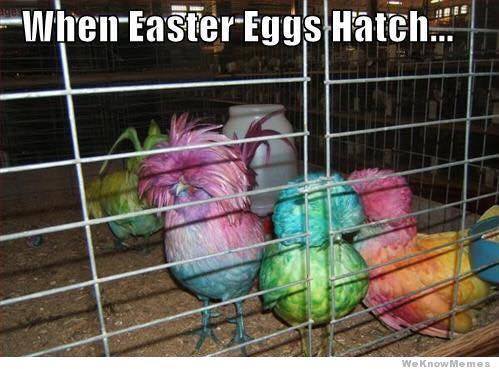 stephfredricks's tweet photo. Psychedelic Chicks! #Eastersonitsway #Easter2022 https://t.co/TX08HJTLa4