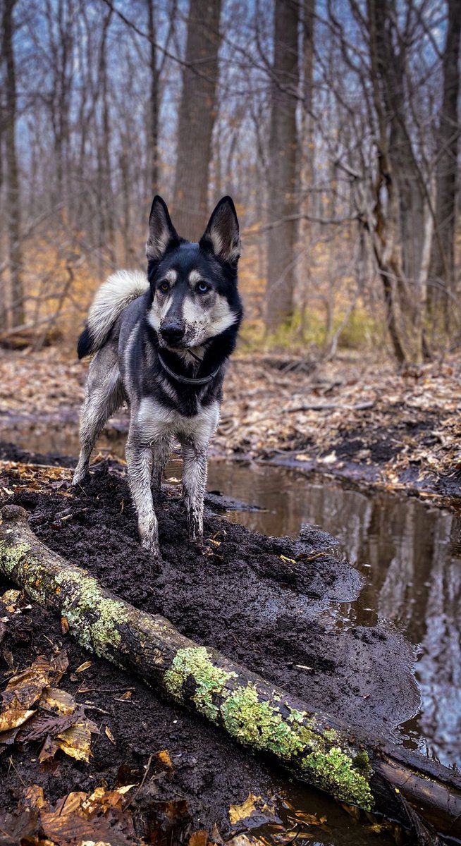 <a href="/GrizzOnTheGo/">Grizzly Bear</a> Disgusting, disturbing, disastrous 😂