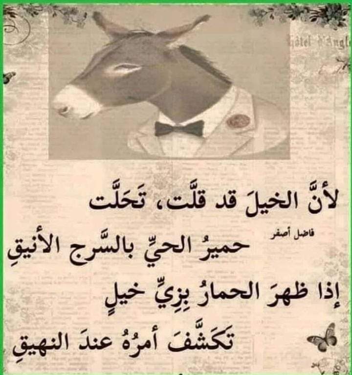 mohd_hrrr's tweet photo. @Gebran_Bassil https://t.co/ZALLI8mqPy