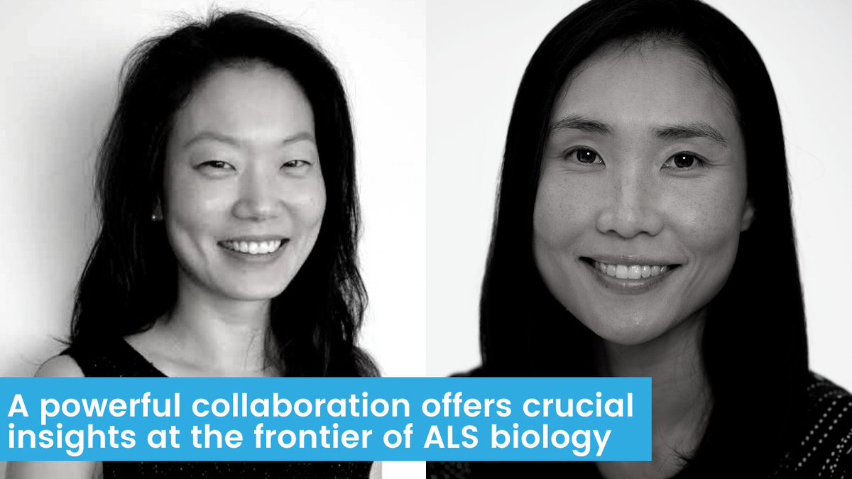 Brain Canada (@braincanada) on Twitter photo W/ the help of <a href="/ALSCanada/">ALS Canada</a> and Brain Canada, Drs. Lee and Youn are using advanced technology to identify new ways proteins interact within a motor neuron. This #research is laying the groundwork for the discovery of targets for solutions for #ALS patients ➡️bit.ly/3tUTYpJ W/ the help of <a href="/ALSCanada/">ALS Canada</a> and Brain Canada, Drs. Lee and Youn are using advanced technology to identify new ways proteins interact within a motor neuron. This #research is laying the groundwork for the discovery of targets for solutions for #ALS patients ➡️bit.ly/3tUTYpJ