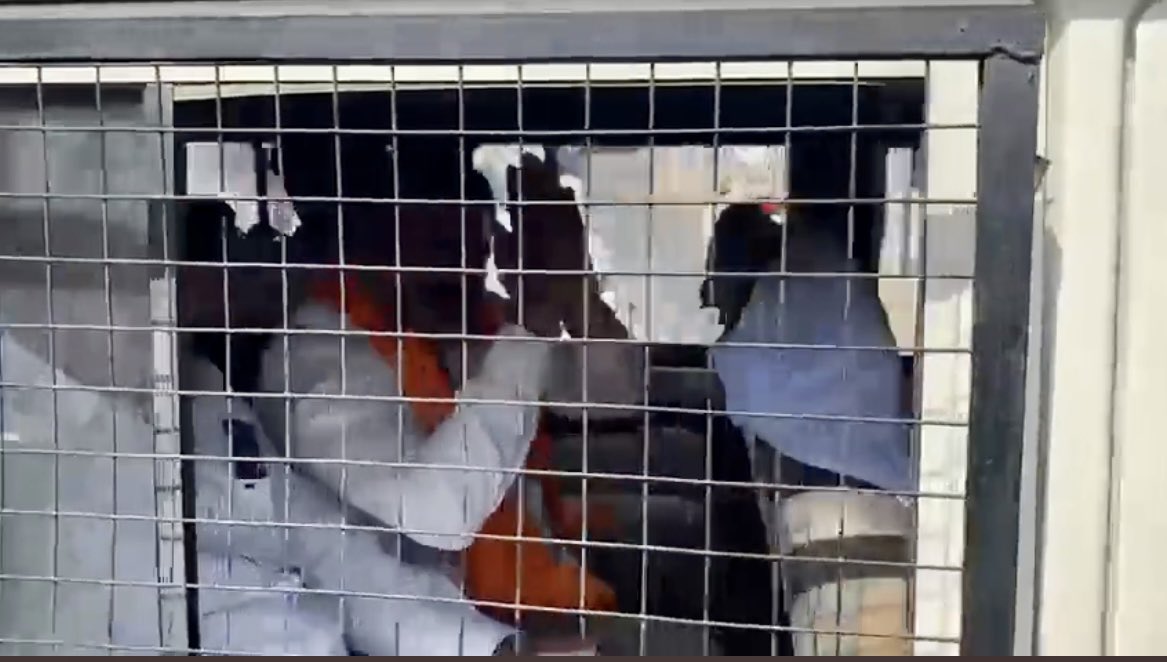 BJP leader Jitendra Gothwal has been sent to jail for allegedly forcing Dr Archana Sharma to commit suicide.