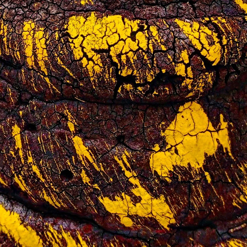 Collection of planets from the constellation Hitoza.  foundation.app/collection/pla…

6/8 available.  Choose your planet.

Reserve 0.25

#NFTs #NFT #NFTCommunity #nftphotography #nftcollector