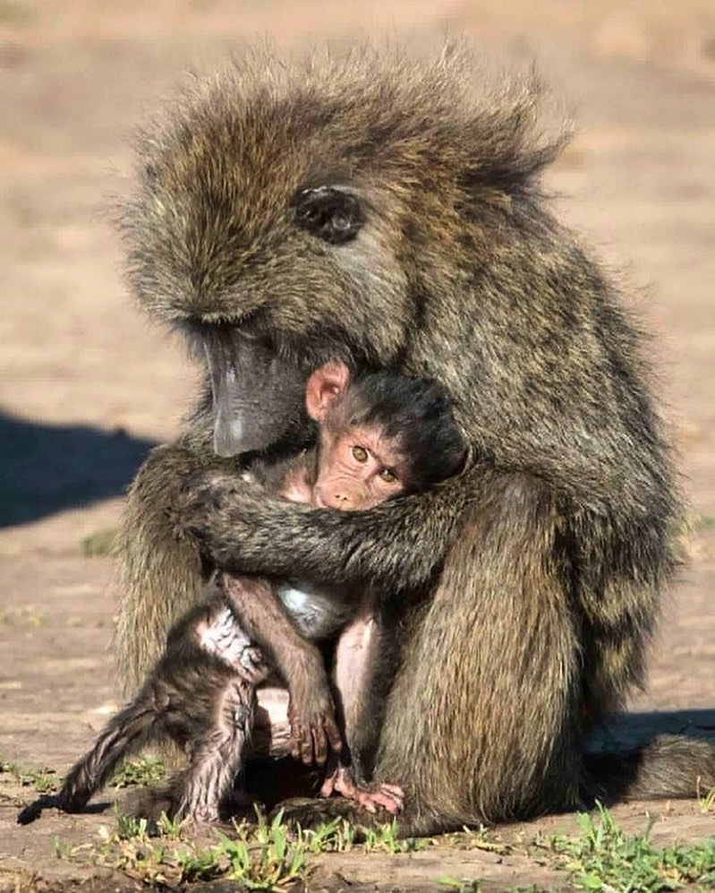 GM &amp; Happy Mother's Day!❤️
Shoutout to all the moms out there who dedicate so much of themselves to supporting and protecting their children. Love you Mom! ❤️
#MothersDay2022 #MothersDay #Love #PhotographyIsArt