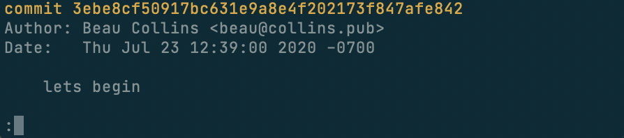 let's begin @sk8rbeau