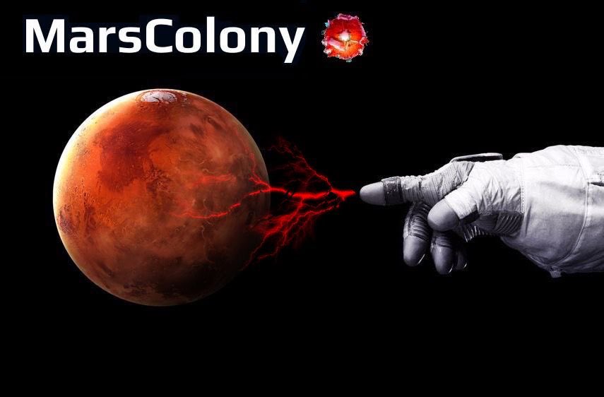 Elvis Nakamoto ⚡️ tweet media