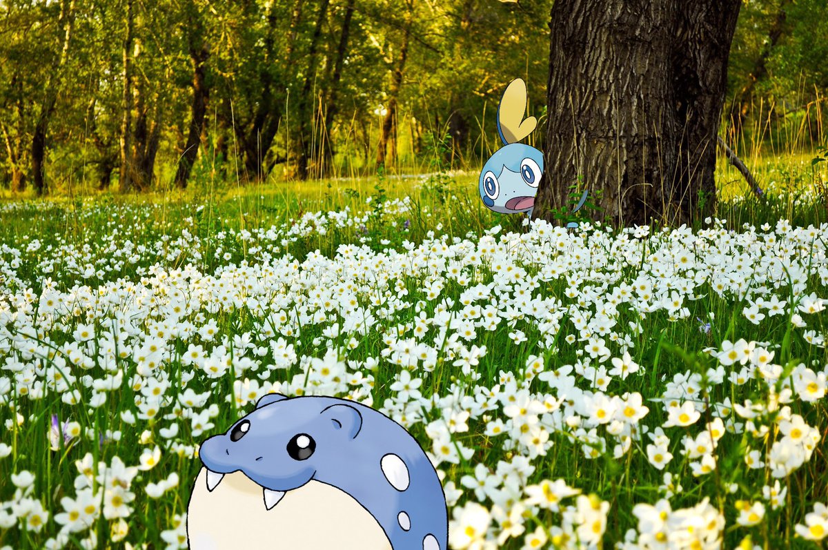 SadSobble's tweet photo. Happy birthday to @363Propaganda 
We are hanging out https://t.co/yRrjXkC7OY