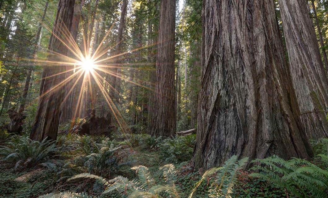 CFRI_CureCF's tweet photo. NAVIGATING GRIEF TO GROWTH - A BIWEEKLY SUPPORT GROUP FOR THOSE WHO’VE LOST LOVED ONES TO #CysticFibrosis
Tuesday, April 5 at 5pm PT
Facilitated by: Isabel Stenzel Byrnes, LCSW, MPH, and Alanah Rosenbloom, MSW
Drop-ins welcome.
https://t.co/DOZPzgo8Sf
#CFwellness #CFRI https://t.co/K2kGBN7r48