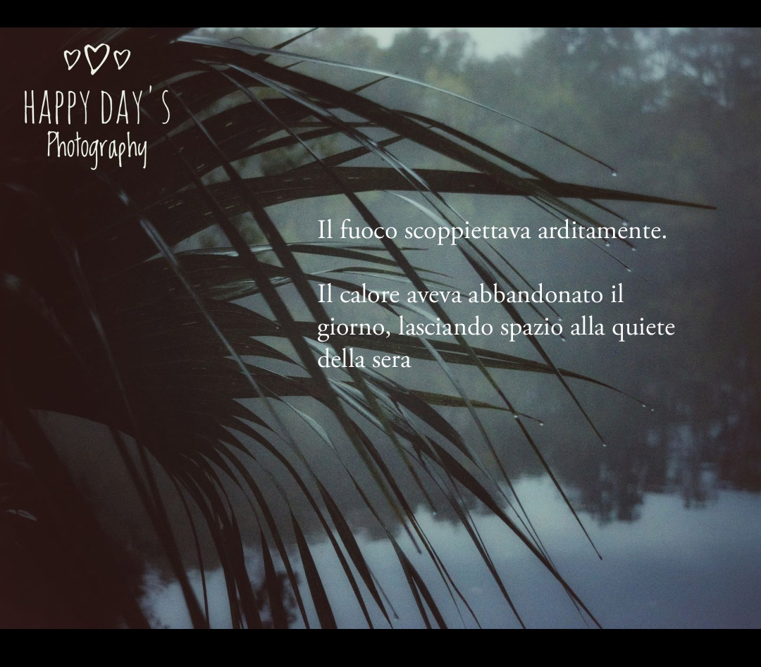 a_more_write's tweet photo. IL MOMENTO D'INVERNO 

#poesia #frasi #natura #inverno #primavera #parole #amore #leggere #leggerelibri #libri #libro #instalove #instagram #instabook #instalibri #love #poetry #nature #pic #good #evening https://t.co/7MTLUjUBAr