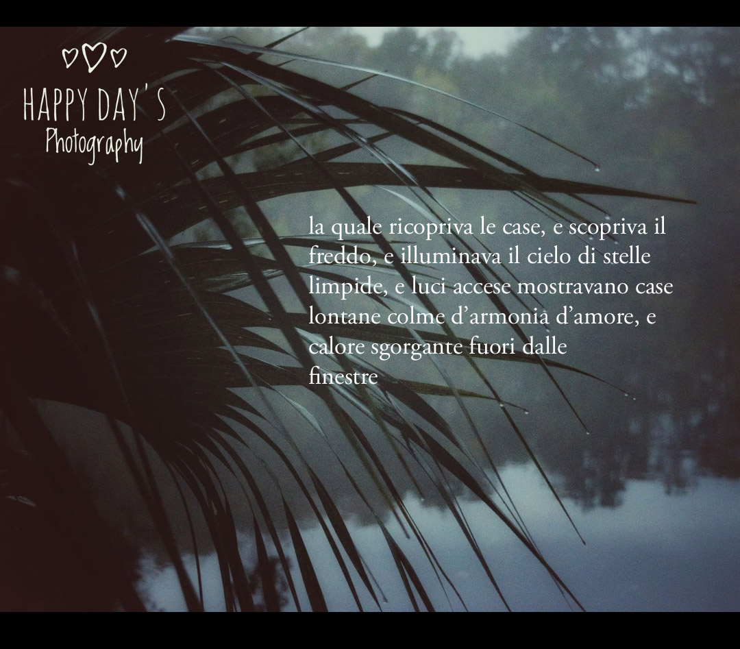 a_more_write's tweet photo. IL MOMENTO D'INVERNO 

#poesia #frasi #natura #inverno #primavera #parole #amore #leggere #leggerelibri #libri #libro #instalove #instagram #instabook #instalibri #love #poetry #nature #pic #good #evening https://t.co/7MTLUjUBAr