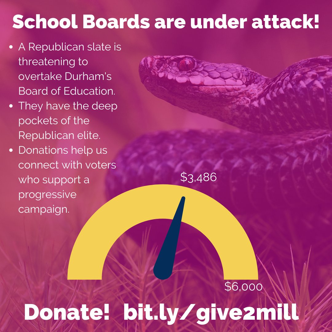 Millicent4dps's tweet photo. With Republicans launching a full blown attack on public schools, from our Lt. Governor to our local school board campaigns, I'm thankful for the support of @runforsomething . Please help us meet our monthly goal so we can reach voters with our progressive agenda. #millicent4dps https://t.co/fb6eXrzNaD