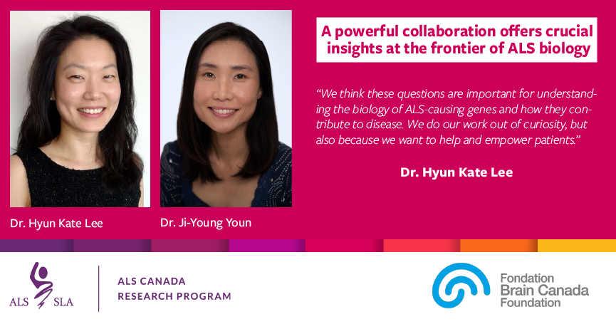 In studying mutations in an #ALS-linked gene called FUS, Dr. Ji-Young Youn <a href="/SickKidsNews/">The Hospital for Sick Children (SickKids)</a> and Dr. Hyun Kate Lee <a href="/UofT/">University of Toronto</a> have teamed up, with a 2021 <a href="/ALSCanada/">ALS Canada</a>-<a href="/BrainCanada/">Brain Canada</a> Discovery Grant in hand, to contribute to a deeper understanding of ALS biology: bit.ly/35qdmBo.