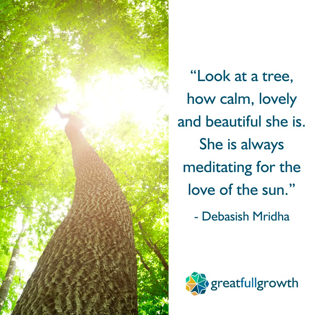 greatfullgrowth's tweet image. Being in nature can in itself a form of meditation.  If you struggle to find calm, consider meditation as part of your daily life.  #calm #greatfullgrowth