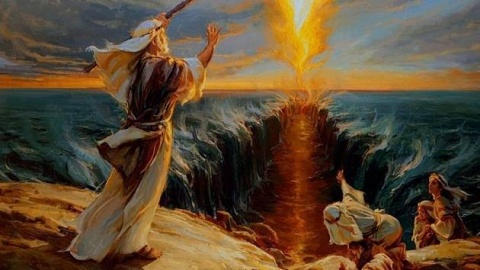 cogitoergosum68's tweet photo. @ZuritaCarpio @TrenMayaMX Creo que ANLO tiene un poder especial sobre el mar...
... pero no para teñirlo de #fiusha...
😂😂😂😂😂😂😂😂😂😂😂😂😂 https://t.co/FJ7UUBsGaF