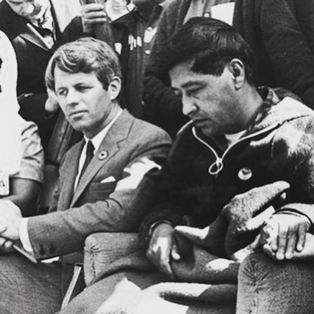 DyanaDelfinPolk's tweet photo. “Once social change begins, it cannot be reversed. You cannot un-educate the person who has learned to read. You cannot humiliate the person who feels pride. You cannot oppress the people who are not afraid anymore.” ✊🏽✊🏽✊🏽
-César E. Chávez https://t.co/auo66SFyzJ
