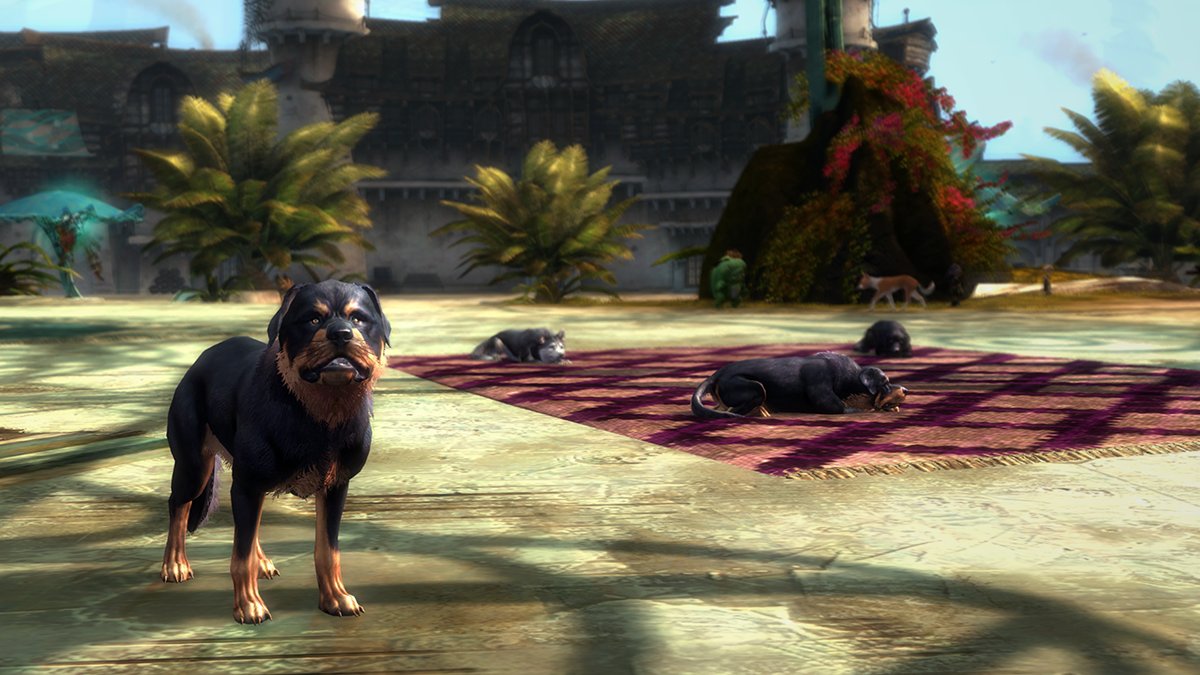 GuildWars2's tweet photo. Everyone knows that cats are beings of enormous power and unfathomable wisdom, but where should a hero turn when might and mystery can’t soothe their weary heart? You may find the answer in Lion’s Arch…and it would appreciate a scratch behind the ears. https://t.co/xfiTDZOW0k https://t.co/eyYvZIMJa3