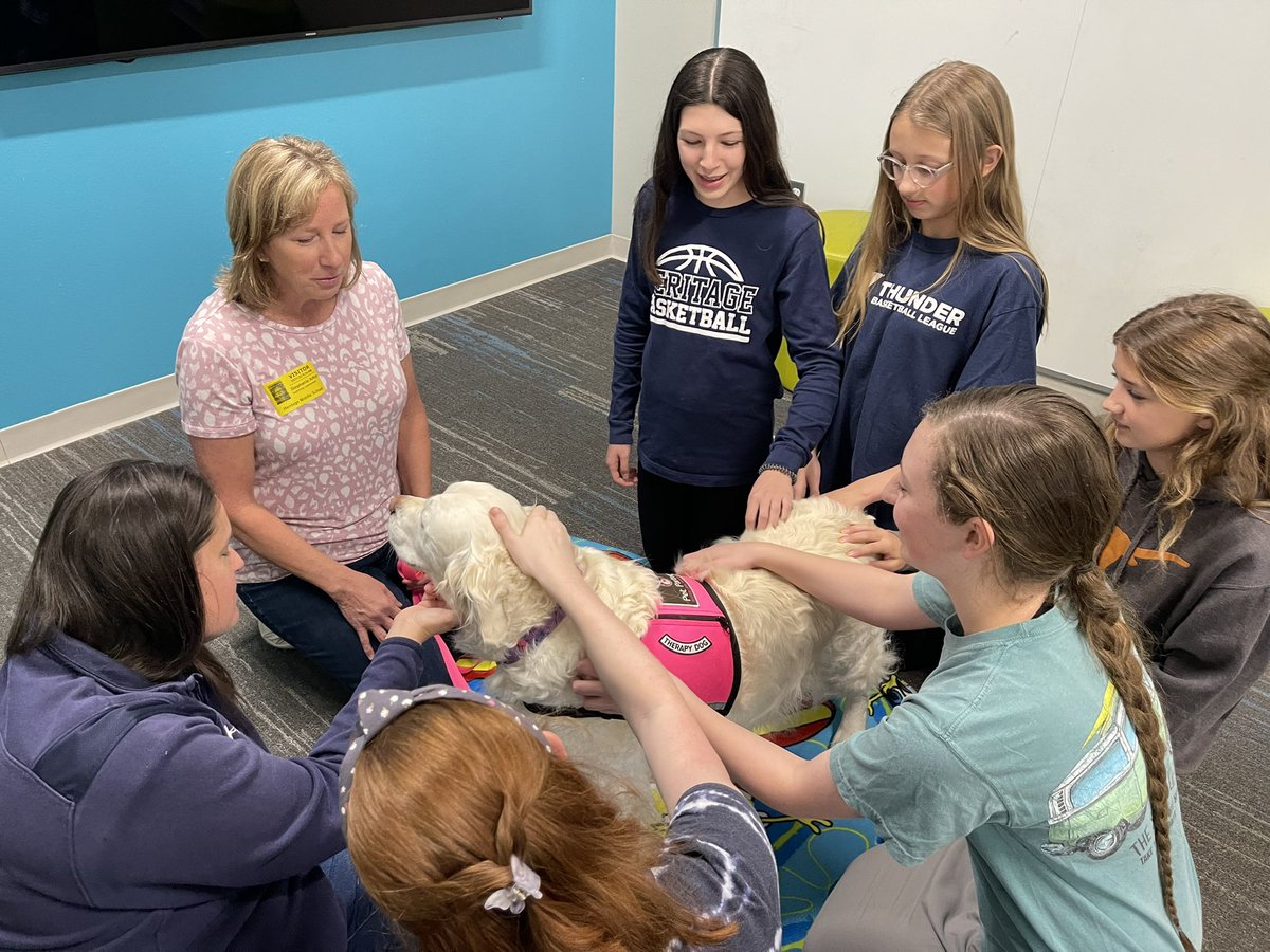 Sheila Shimmick tweet media