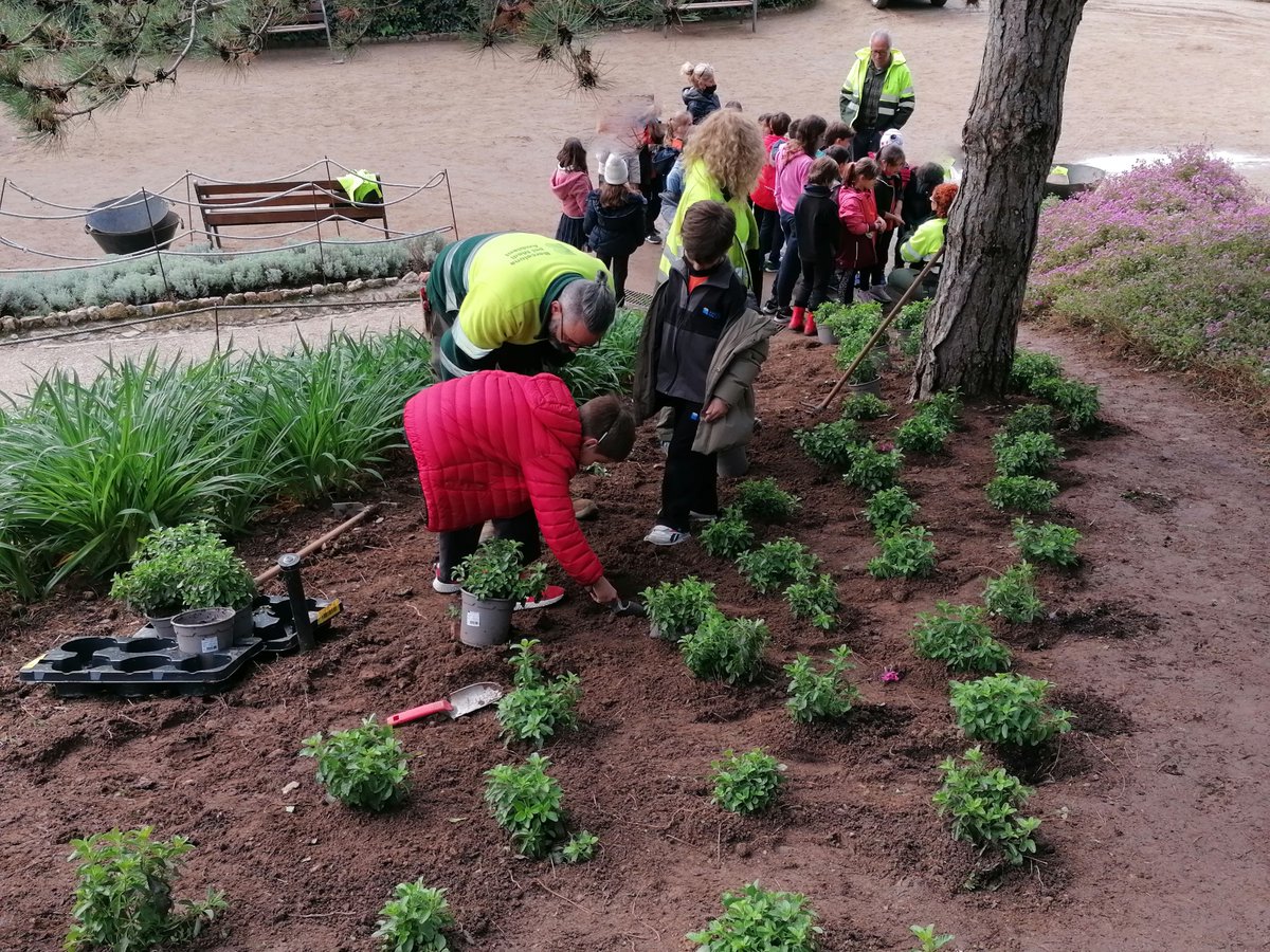 Lsceraldi's tweet photo. Avui la #PIN2 de #JEGràcia va participar de la #FestadelaPrimavera fent una plantada al  #ParkGüell .
Van treballar amb els jardiners i jardineres que cada dia cuiden els nostres espais verds. #DescobrimNatura #EscolesSostenibles #mansalverd https://t.co/C3u2ZxxPZx