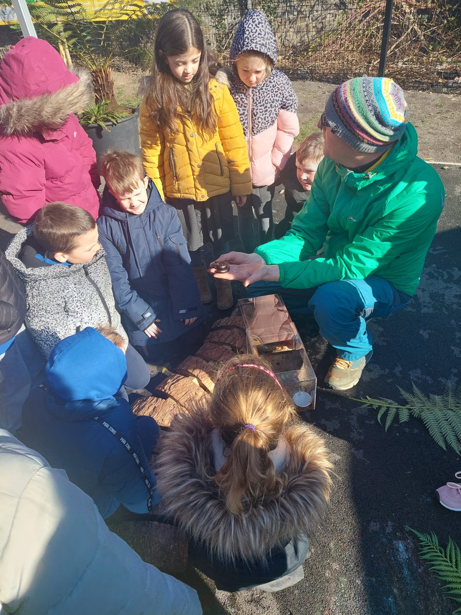 TilburyWales's tweet photo. Despite the cold, wind and the snow at Merthyr Tydfil today, we had a great day Fossil Hunting and Bug Handling with @YYGPrimary Pupils. Thank you to Ben and Steph for hosting the sessions! #geology #fossils #schoolengagement #bughandling https://t.co/cKSxn9X9Lq