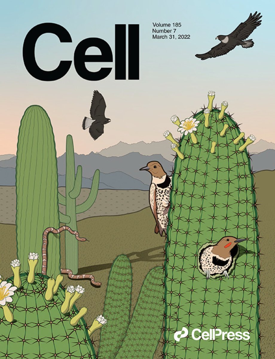 Our <a href="/CellCellPress/">Cell</a> cover story is just out today! Congrats to all the authors!