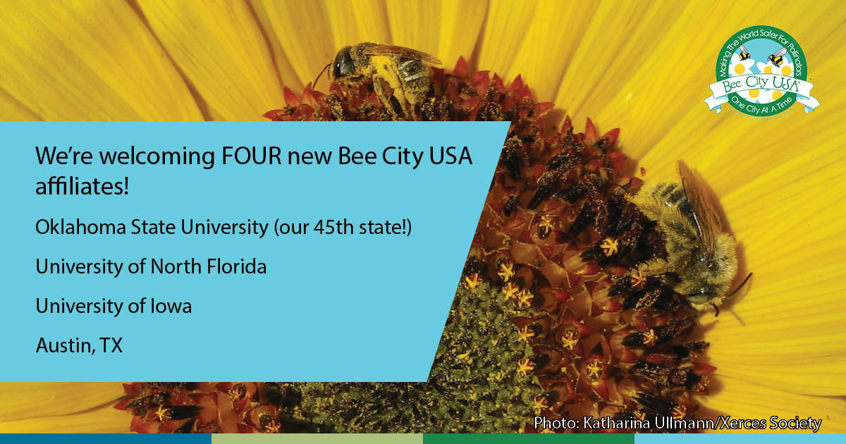 BeeCityUSA's tweet photo. We're excited to welcome our new affiliates Oklahoma State University, University of North Florida, University of Iowa, and Austin, Texas. We now have affiliates in 45 states!
#BeeCampusUSA #BeeCityUSA #ProtectingPollinators @austintexasgov @okstate @UofNorthFlorida @uiowa https://t.co/yRBOotFcLK