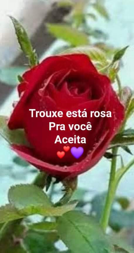 LeiteTica's tweet photo. Para vcs meus queridos. https://t.co/qaOgWVkI1F
