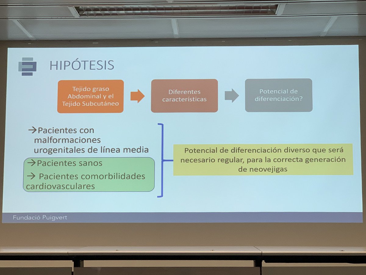 Andrea Gallioli (@agallioli) on Twitter photo Today impressive talk by @yeyaquimapa on tissue engineering in pediatric urology. The future of bladder augmentantion!! 👏👏👏 <a href="/FPuigvert/">Fundació Puigvert Barcelona</a> <a href="/BujonsTur/">AnnaBujonsTur</a> <a href="/joanfundi/">Joan Palou Redorta</a> Today impressive talk by @yeyaquimapa on tissue engineering in pediatric urology. The future of bladder augmentantion!! 👏👏👏 <a href="/FPuigvert/">Fundació Puigvert Barcelona</a> <a href="/BujonsTur/">AnnaBujonsTur</a> <a href="/joanfundi/">Joan Palou Redorta</a>