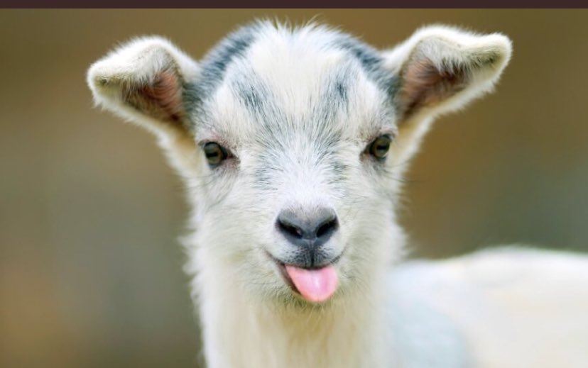 Thank you all for joining me <a href="/GFMradio/">GFM Radio</a> I’m off now so see you next week my lovelies 🎶🖖🤩☮️ <a href="/QuiteGreat/">Quite Great</a> <a href="/TheDualers/">The Dualers</a> @netnik808 <a href="/CharlesBouleva2/">Charles Boulevard</a> <a href="/JeffLynnesELO/">Jeff Lynne's ELO</a> <a href="/Velinski_Songs/">Velinski Music</a> <a href="/JonScottMusic_/">Jon Scott Music</a> <a href="/ITHERETWEETER1/">theretweeter</a> <a href="/JJKaneRadio/">JJ KANE FRSA A #ROCKETMAN + A #HONKYCAT=JJ KANE</a> <a href="/dorner_martina/">Martina Dörner</a> <a href="/WorldofGenesis/">World of Genesis</a> <a href="/EltonJohnNews/">Elton John News</a> <a href="/936Arrow/">Arrow Head ☠🎸☠</a>