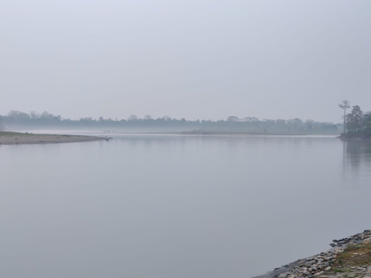 Curious trip to Nameri Tiger Reserve…spotted many birds, evasive white-winged duck, wild elephant herd, python egg shells and lot more! Do give it a visit! Thanks to Minaram Gogoi, my guide 😊  #nameri #incredibleassam