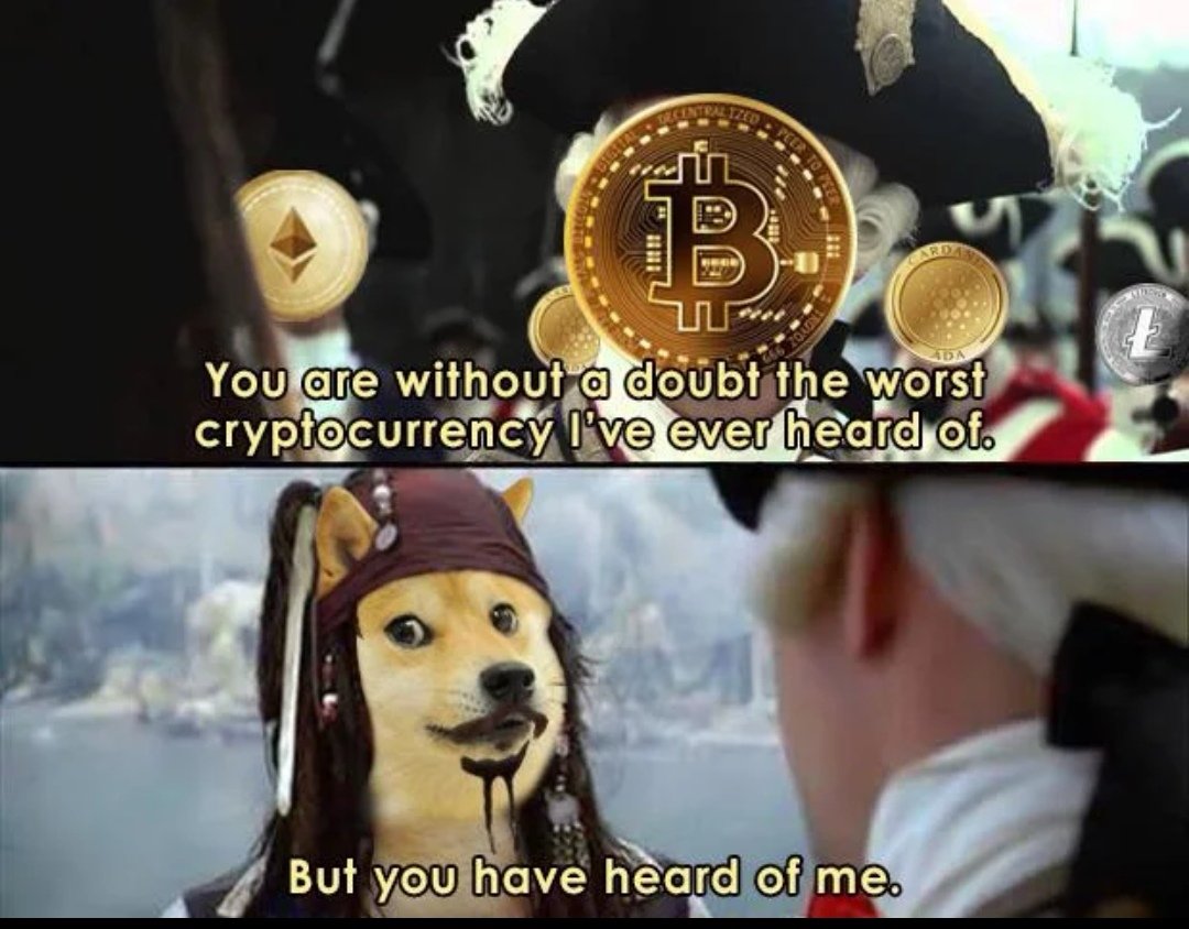 💸💸💸 tweet media