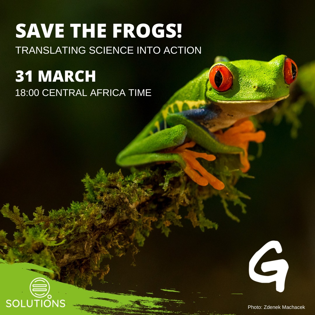 BarbraKhatinya's tweet photo. Today's webinar on #SaveTheFrogs was very insightful and a wake-up call for us that all species deserve to be protected especially amphibians. We really need more of these... 

Our slimy friends are actually important and really cute🐸
@Greenpeaceafric
@lumofokeng
@Jmeyer13J https://t.co/43XfJML5o4