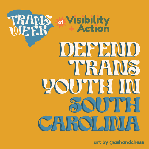 popdemocaction's tweet photo. π§΅ South Carolina legislature is trying to ban trans women and girls from sports. Tell them to vote NO on S 531 and H 4608: https://t.co/LGOQpSxfnA #TDOV #TWOV https://t.co/D3oGOgMZMq