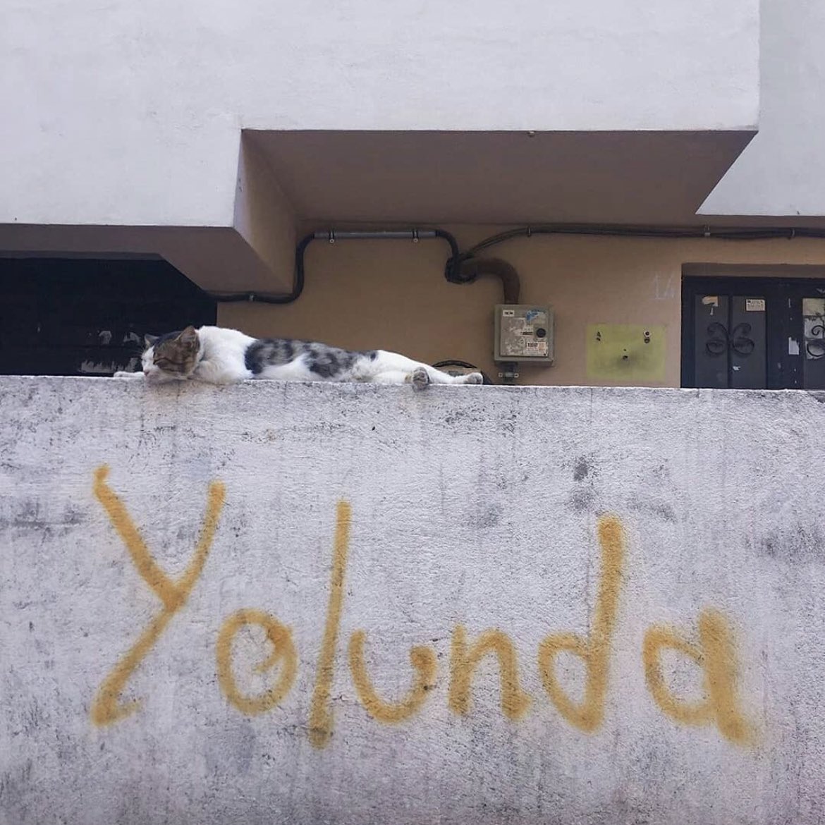 BEDEL ÖDEYENLER (@bedelodedik) on Twitter photo 