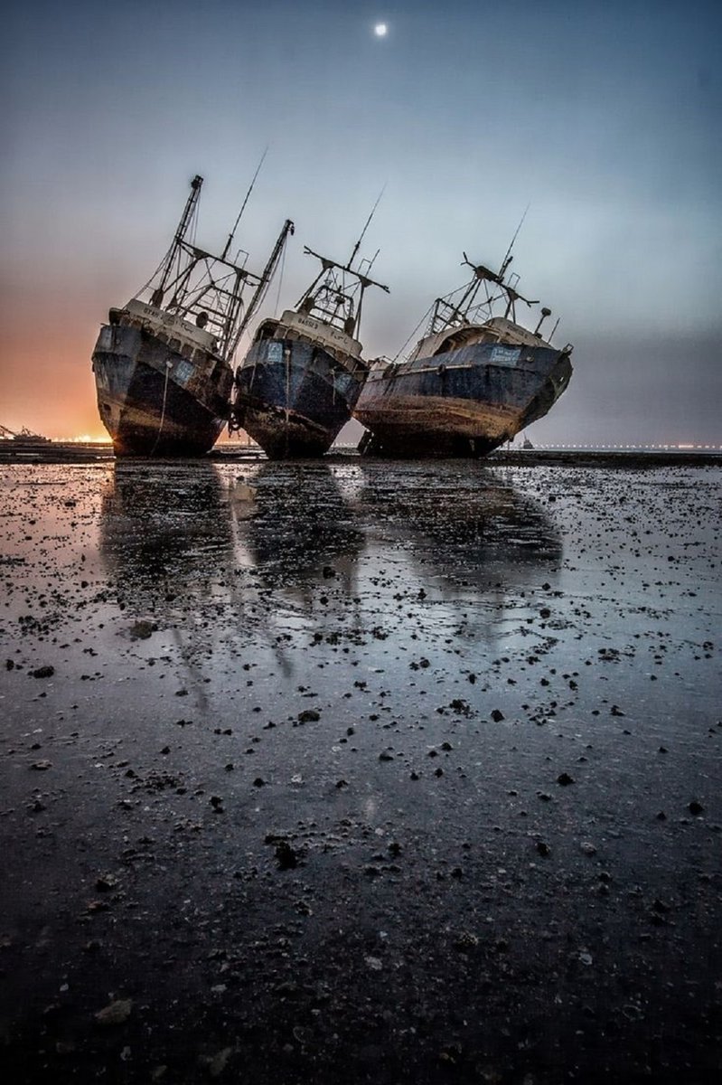 HoganSOG's tweet image. The three amigos, Abandoned boats.