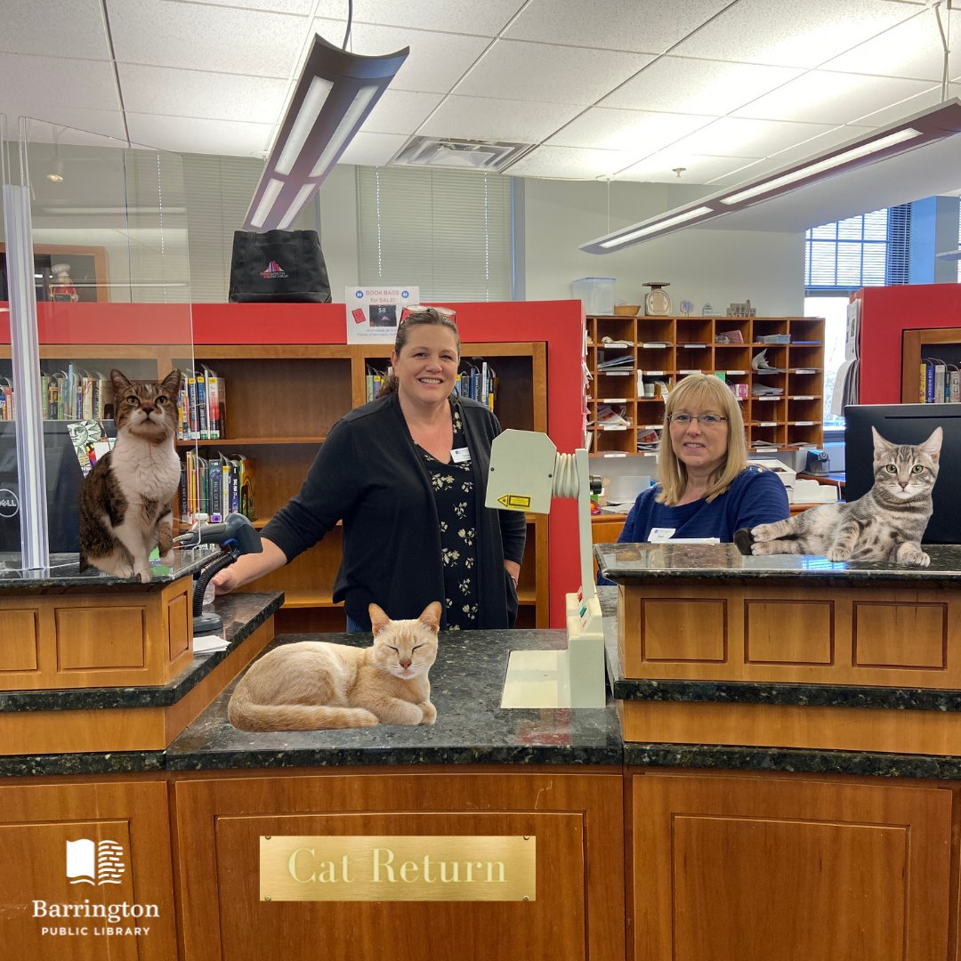 BarringtonPLRI's tweet photo. Barrington Public Library is excited to announce the newest addition to our lineup of amazing services, our new Library of Cats!
Read more about it in our newsletter here: https://t.co/G1Zx6TyJL8
#LibraryofCats #barringtonplri #barringtonri #library #publiclibrary https://t.co/NeeimG2Td6