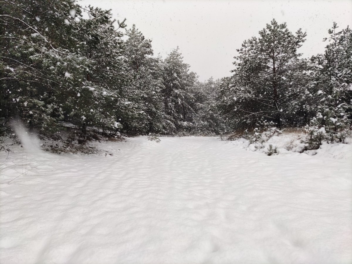 BERGTOER 2 APRIL GEANNULEERD!
De bijgevoegde foto is eind van de middag gemaakt bovenop de Posbank. We vinden het niet verantwoord om een tocht over dit parcours te organiseren. De tocht is verplaatst naar 30 april. het-versnellertje.nl

Bron foto: weerwoord.be