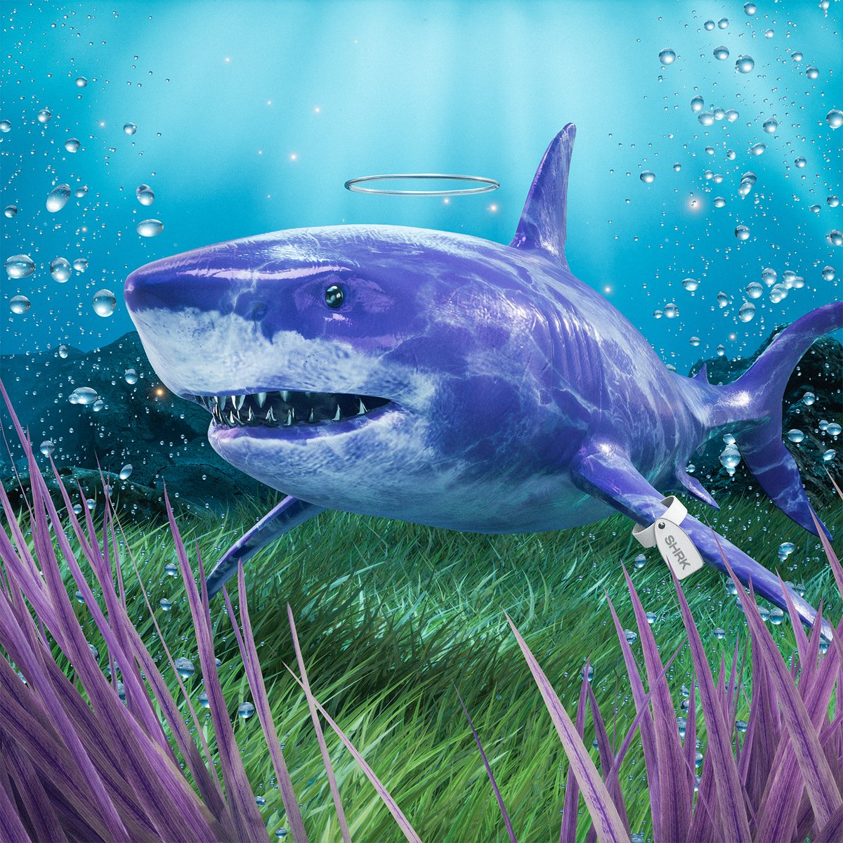 Shark #473 was just bought 🙌 Congrats to the new owner!

For JUST 0.70 SOL ($86.97) 💰

The Sea Floor is Rising!
solscan.io/token/49XC7CNr…