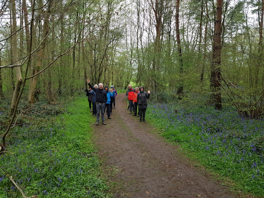We are excited to announce that we are teaming up with <a href="/PipsticksWalks/">Pipsticks Walks</a> again this year for another Bluebells for Bluebells charity walk fundraiser! PLEASE join us on Sunday 8th of May 2022 at 10am. bluebellsdaycentre.org.uk/2022/03/31/202…