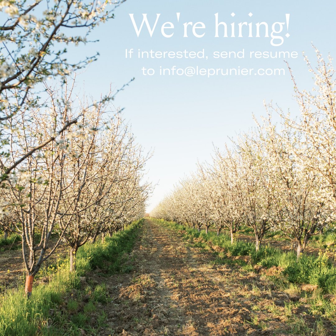 We’re hiring! Seeking dynamic and passionate project managers, supply chain managers, graphic designers, sales reps / customer service, etc. If you’ve ever wanted to be a part of the Le Prunier team, now’s your chance! Please email resumes to info@leprunier.com. ♥️