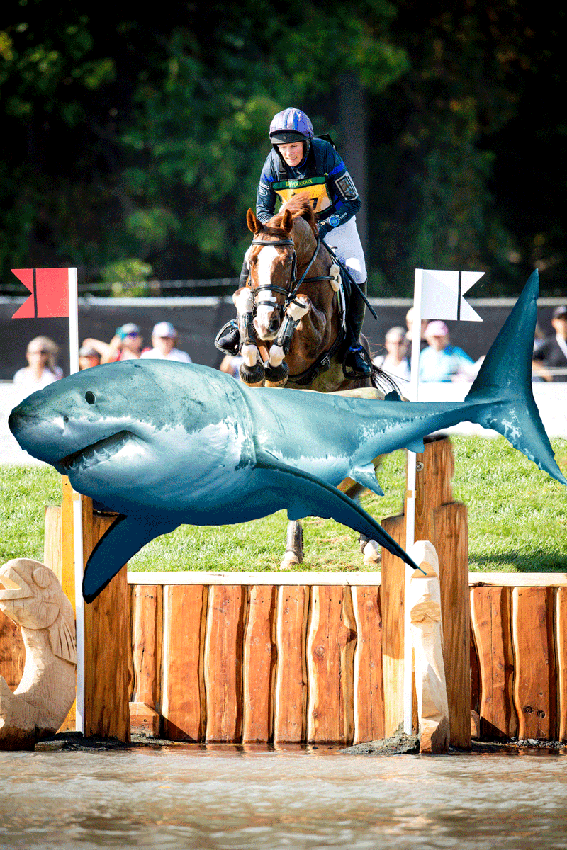 Maryland5Star's tweet photo. If you thought the cross country course was intense last year, wait until you see what course designer Ian Stark has in store for 2022....🦀🦈
#Maryland5Star #MD5Star #CCI5 #5Star #eventing #equestrian #cecilcounty #maryland #AprilFoolsDay #HappyAprilFools #MDbluecrab #shark https://t.co/E3T2FnWXRH