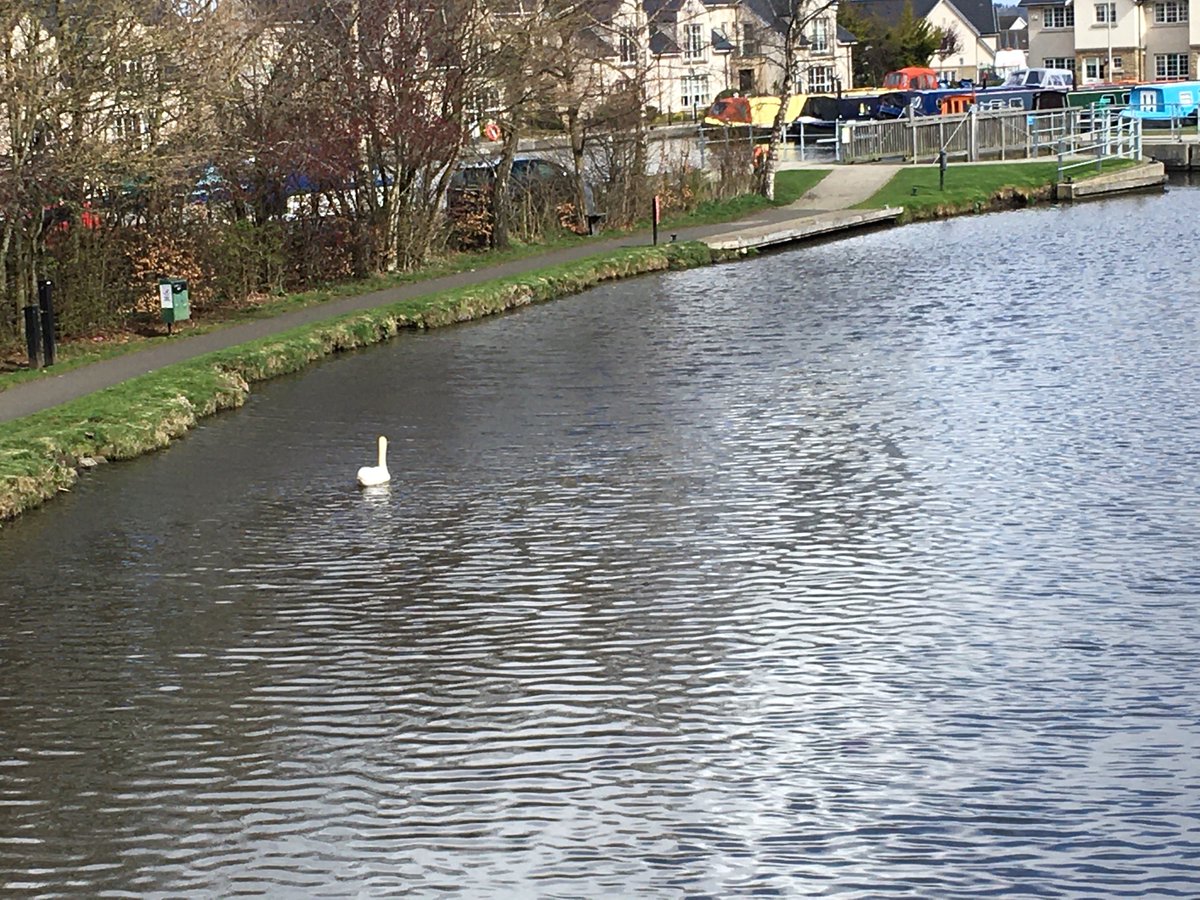 Ratho uncovered tweet media