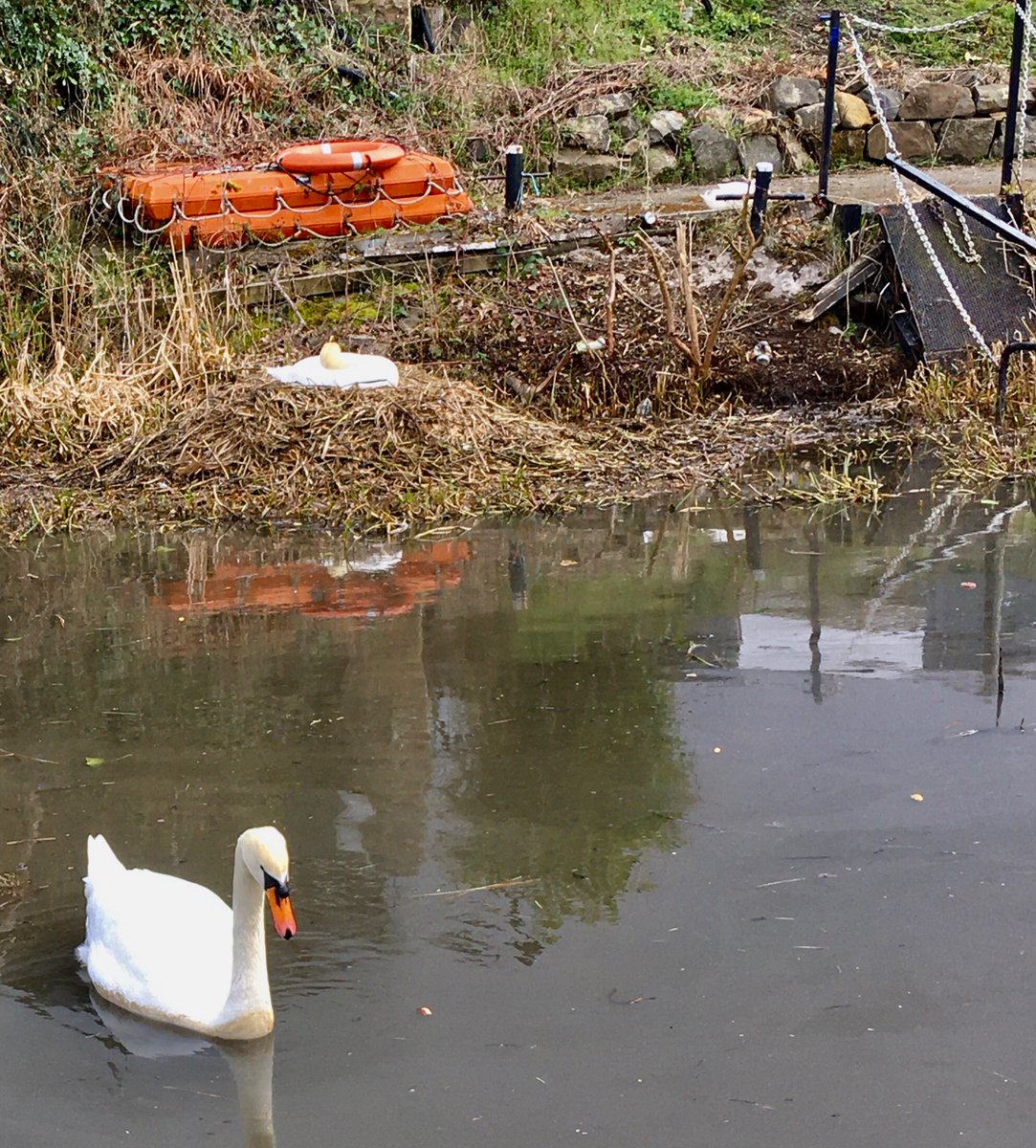 Ratho uncovered tweet media