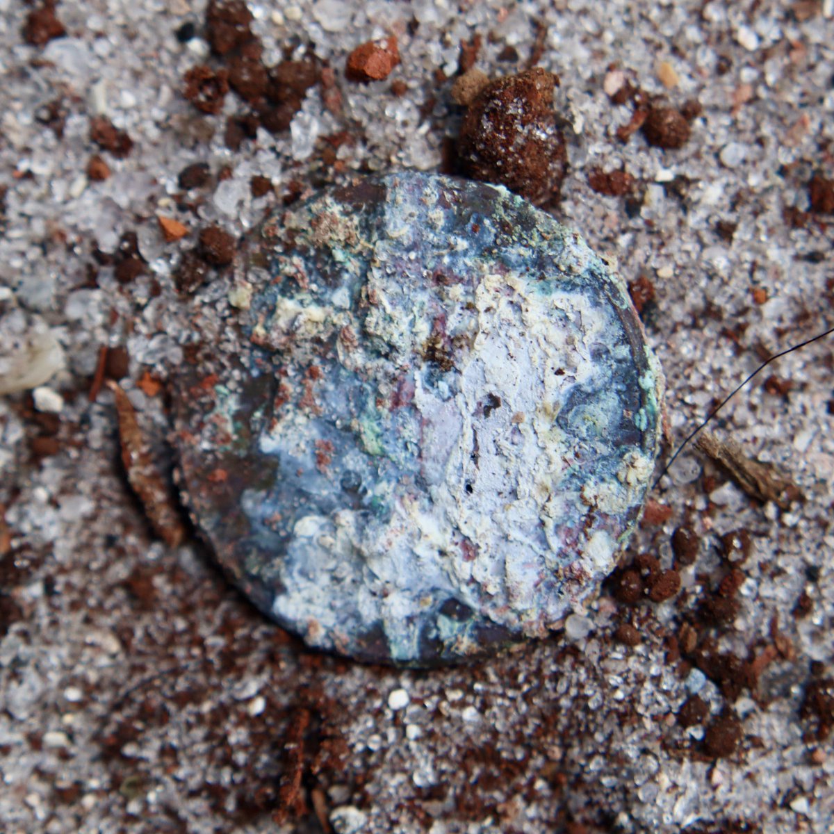 FoundObjectsNFT's tweet photo. π£ Found Objects, 2021. NFT Collection. 50 Items + physical coin. Drops Apr 15, 2022, 8am OPENSEA ππ» https://t.co/oNDkAQgFtG #foundobjectsnft #foundobjects #foundcoins #nft #nftart #nftgallery #nftdrop #nftcollection #nftcollector #nftartist #ethereum https://t.co/RAQ3LjdLrS