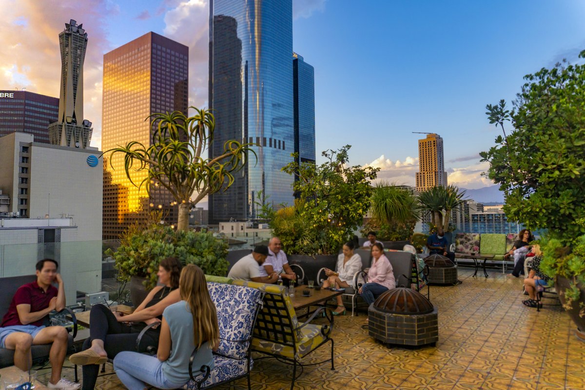 An Elevated Resting Place 🐦