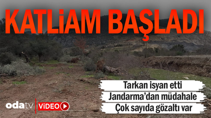 odatv's tweet photo. Katliam başladı... Tarkan isyan etti https://t.co/jjJDmomLG5 https://t.co/AWVC9qlwhO