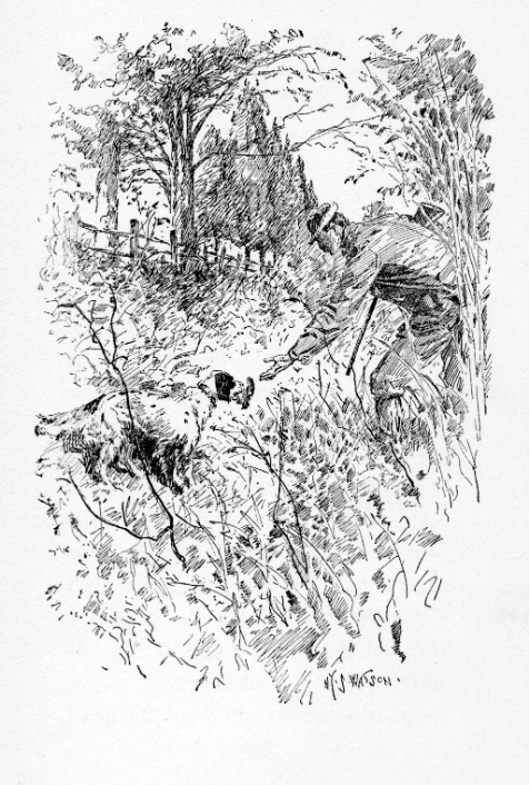 UplandAlmanac's tweet photo. "Quail Shooting"
by former U.S. President Grover Cleveland
from the Summer 2020 issue, The Upland Almanac
Read the story at: https://t.co/Xly4DNVXER https://t.co/dqKQSzUpEj