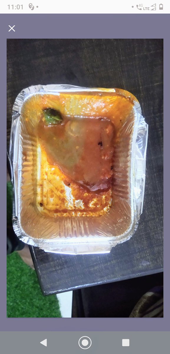 Request all to please help <a href="/SwiggyCares/">Swiggy Cares</a> &amp; <a href="/swiggy_in/">swiggy</a> to identify what is the black insect in the red sauce in the following image below