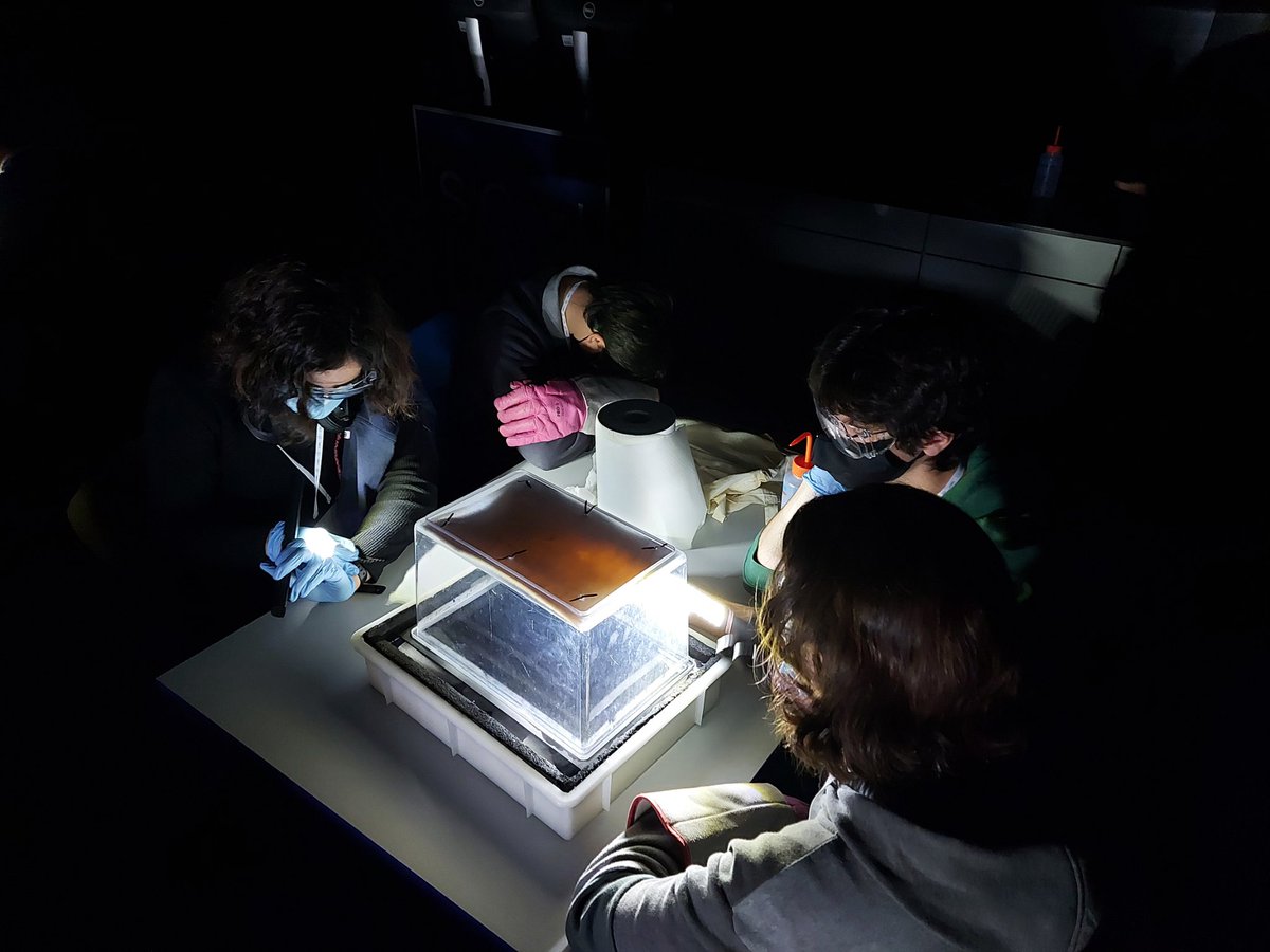 CesarPBA's tweet image. Un sueño hecho realidad. Hoy con el alumnado de 1°bto de @EscuelaIdeo  en el  @CERN 🇨🇭 #ScoolLab Fabricamos nuestras cámaras de niebla y nos sumergimos en el mundo de la aceleración de partículas. 😍