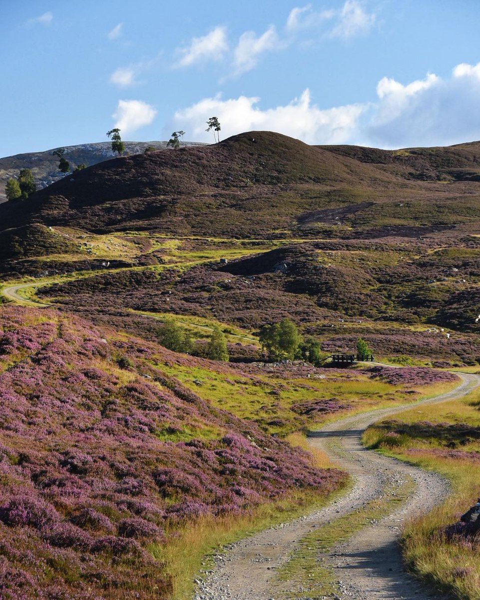 Who's looking forward to exploring more of #Scotland this year?! 🙋🍃 #ScotlandisCalling

📍  Glen Ey, <a href="/VisitCairngrms/">VisitCairngorms.com</a> 📷 IG/scottish_highlands_and_more  #RespectProtectEnjoy
